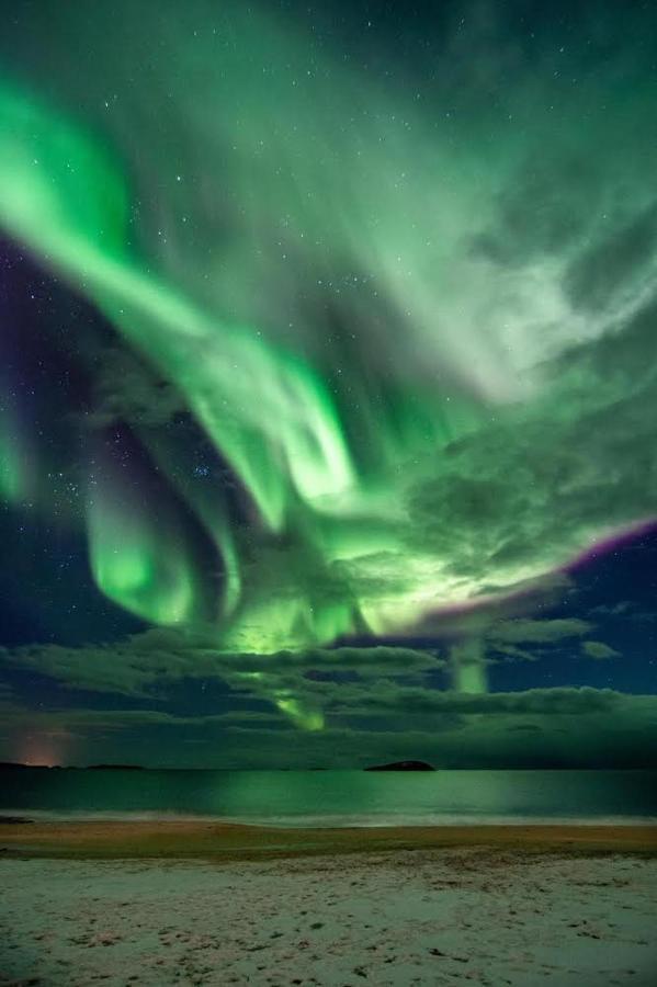 Visit Leif At Senja Gibostad Exterior foto